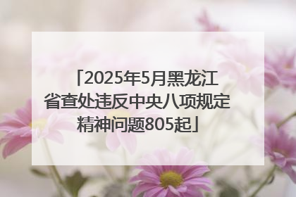 2025年5月黑龙江省查处违反中央八项规定精神问题805起