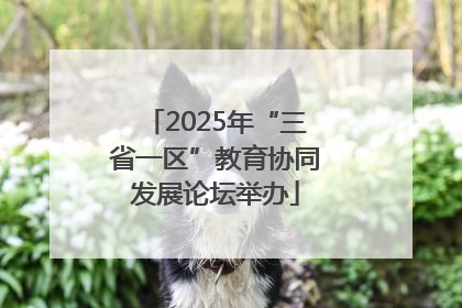 2025年“三省一区”教育协同发展论坛举办
