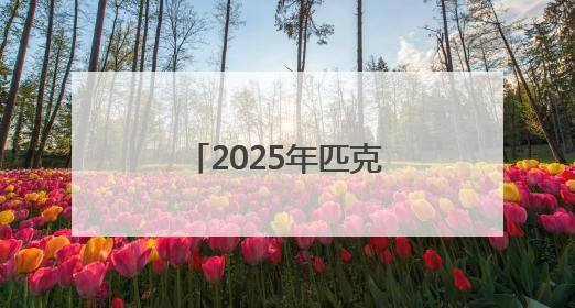 2025年匹克球巡回赛江西庐山西海站收官