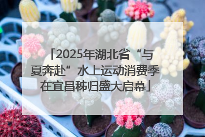 2025年湖北省“与夏奔赴”水上运动消费季在宜昌秭归盛大启幕