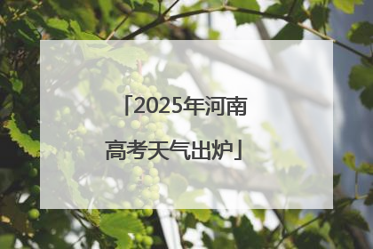 2025年河南高考天气出炉