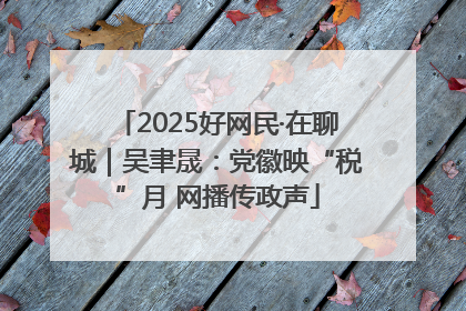 2025好网民·在聊城｜吴聿晟：党徽映“税”月 网播传政声