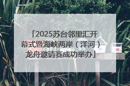 2025苏台邻里汇开幕式暨海峡两岸（洋河）龙舟邀请赛成功举办