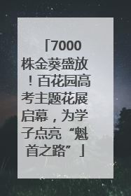 7000株金葵盛放！百花园高考主题花展启幕，为学子点亮“魁首之路”