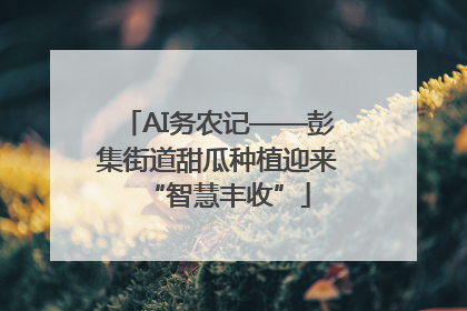 AI务农记——彭集街道甜瓜种植迎来“智慧丰收”